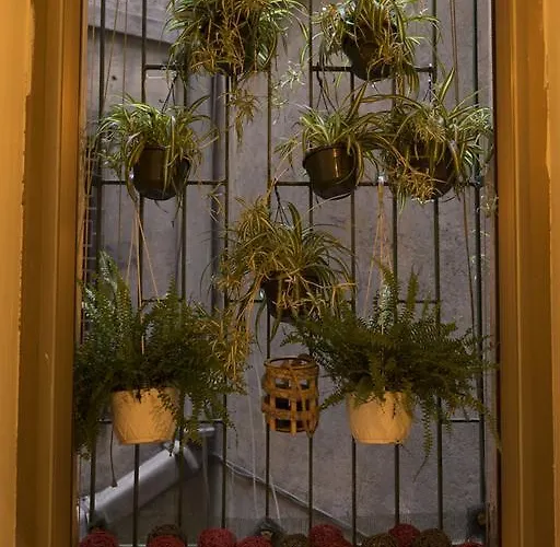 Trastevere Corner Eight 3* Rom